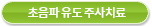 초음파유도 주사치료