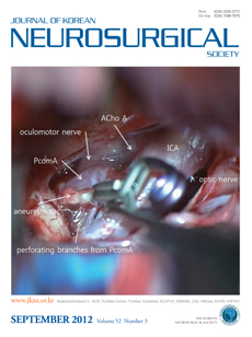 'Journal of Korean Neurosurgical Society'지 논문게재 (Vol. 52, September 2012) 이미지